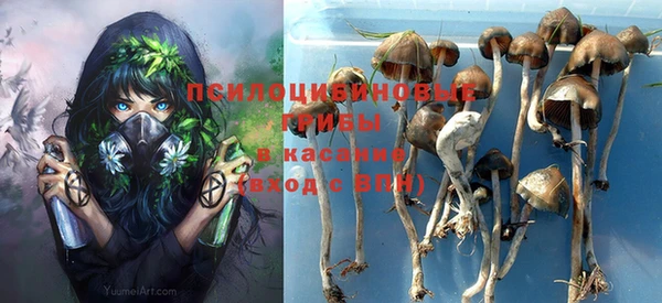 дживик Липки