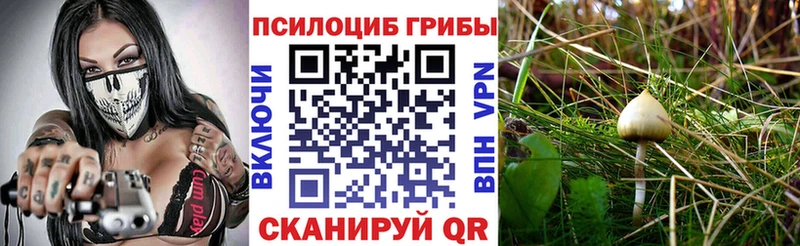 купить  сайты  Чита  Галлюциногенные грибы Magic Shrooms 