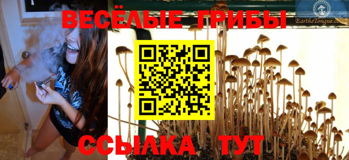 Галлюциногенные грибы Cubensis Чита