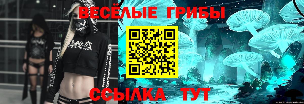 Галлюциногенные грибы Psilocybe  Галлюциногенные грибы MAGIC MUSHROOMS  Вход с VPN  Чита 