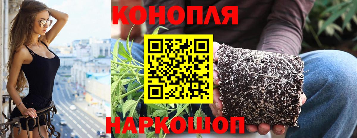 Конопля White Widow Чита
