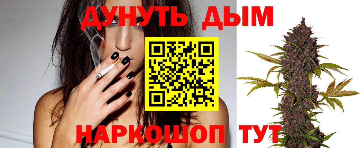 Марихуана сатива Чита